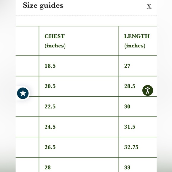 NWT “It’s Giving Queer Main Character Energy” T-Shirt - Picture 4 of 6